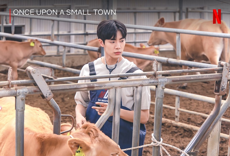 Once Upon a Small Town บันทึกรักในเมืองเล็ก