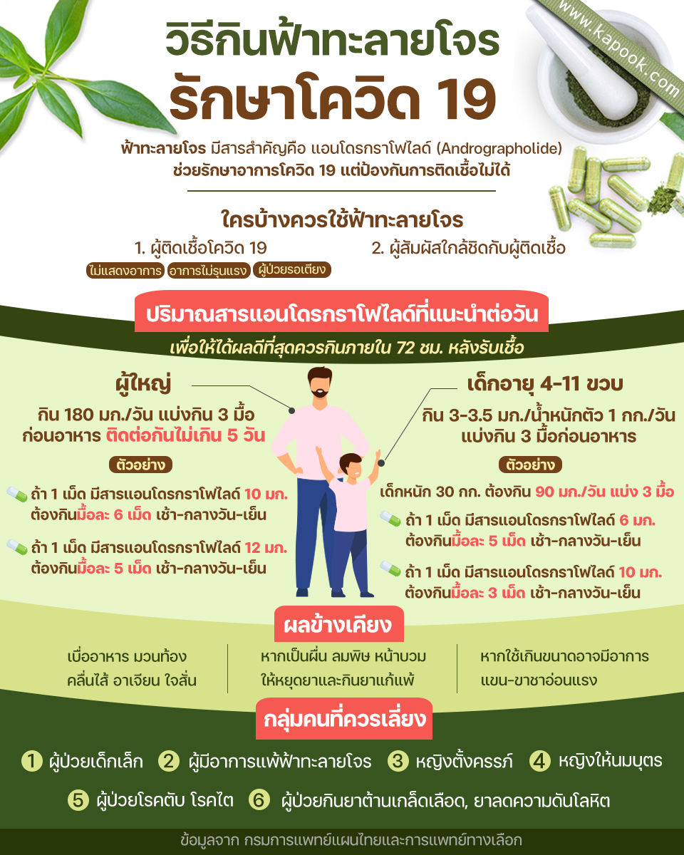 วิธีกินฟ้าทะลายโจร รักษาโควิด 19