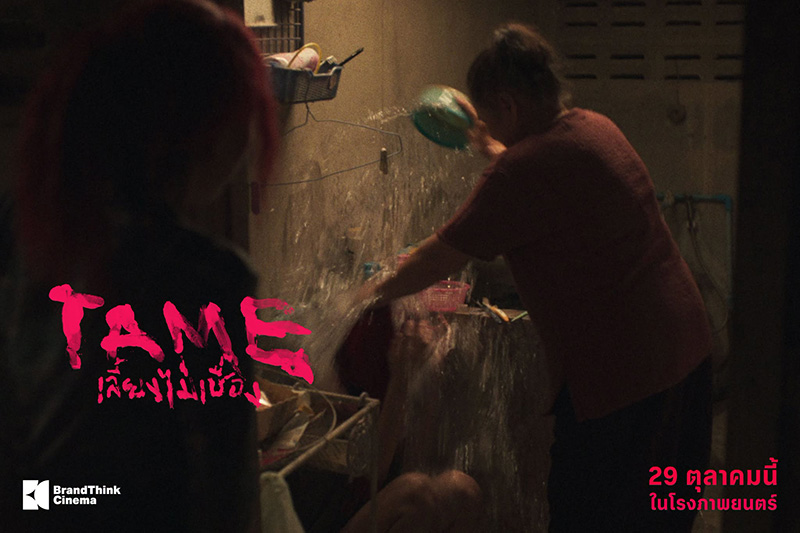 TAME เลี้ยงไม่เชื่อง หนังใหม่ 2026 หนังใหม่เดือนตุลาคม 2569 ดูหนัง