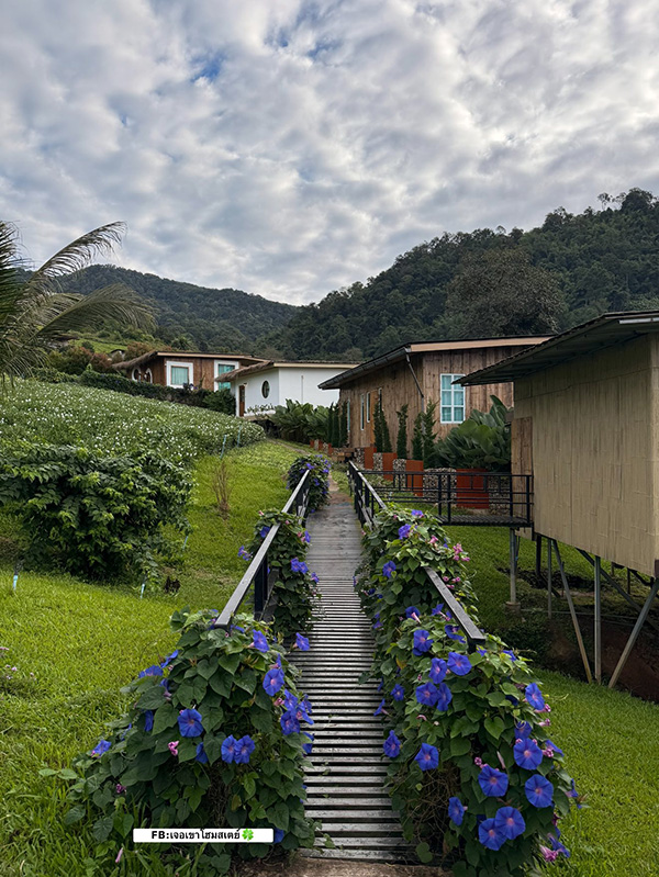 ที่พักหน้าหนาว 2568 เจอเขา โฮมสเตย์