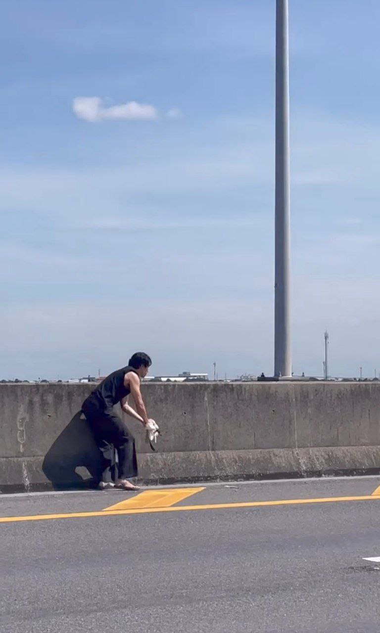 ก๊อต จิรายุ แมว