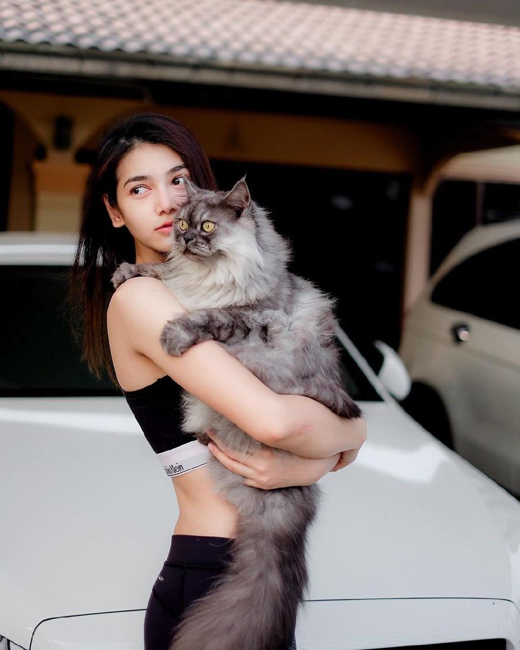 เจ ภัทชา