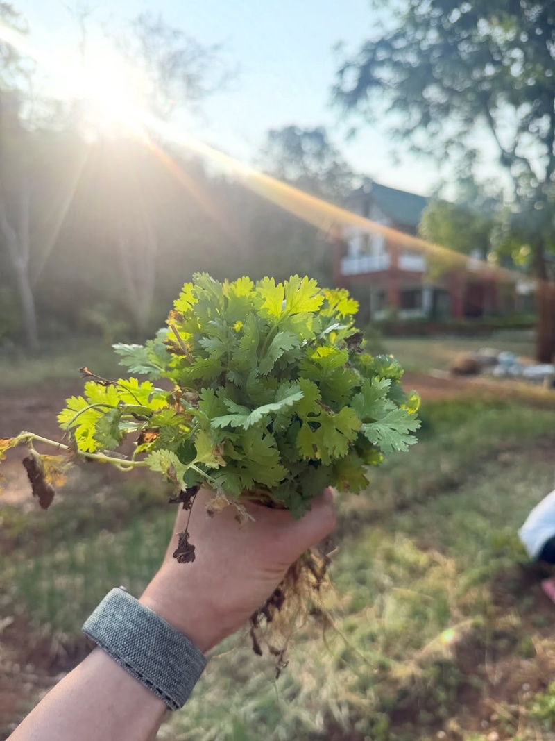 หมอโอ๊ค สมิทธิ์