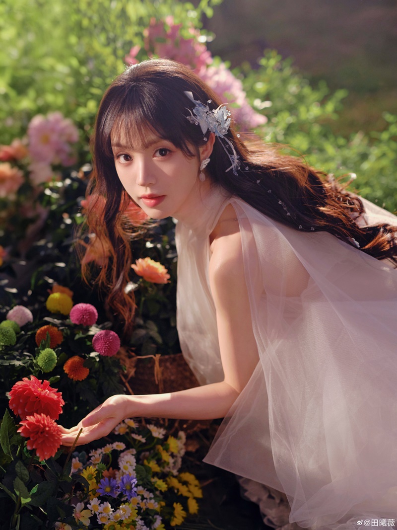 เถียนซีเว่ย นางเอกล่าหยก