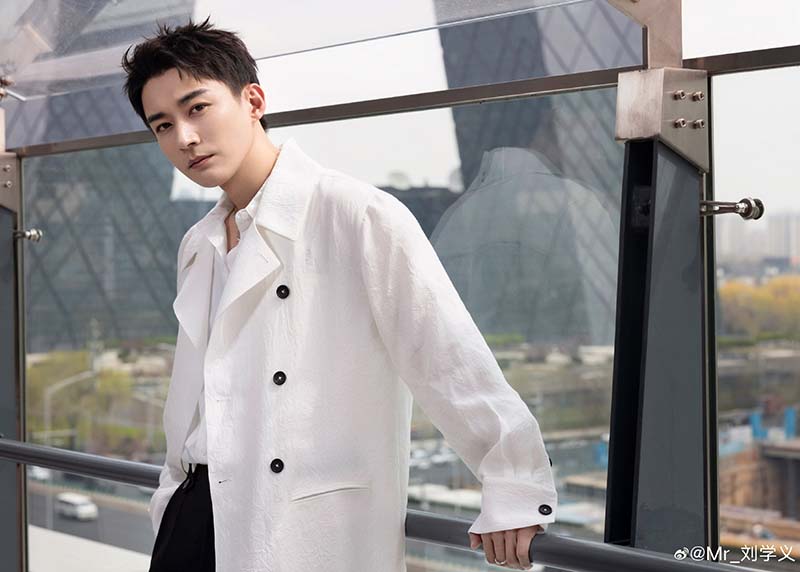 หลิวเสวียอี้ ประวัติ Liu Xue Yi
