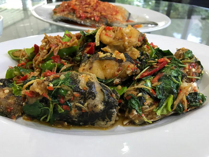 ปลาดุกผัดฉ่า