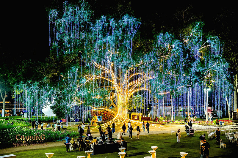  Charming Chiang Mai Flower Festival 2026