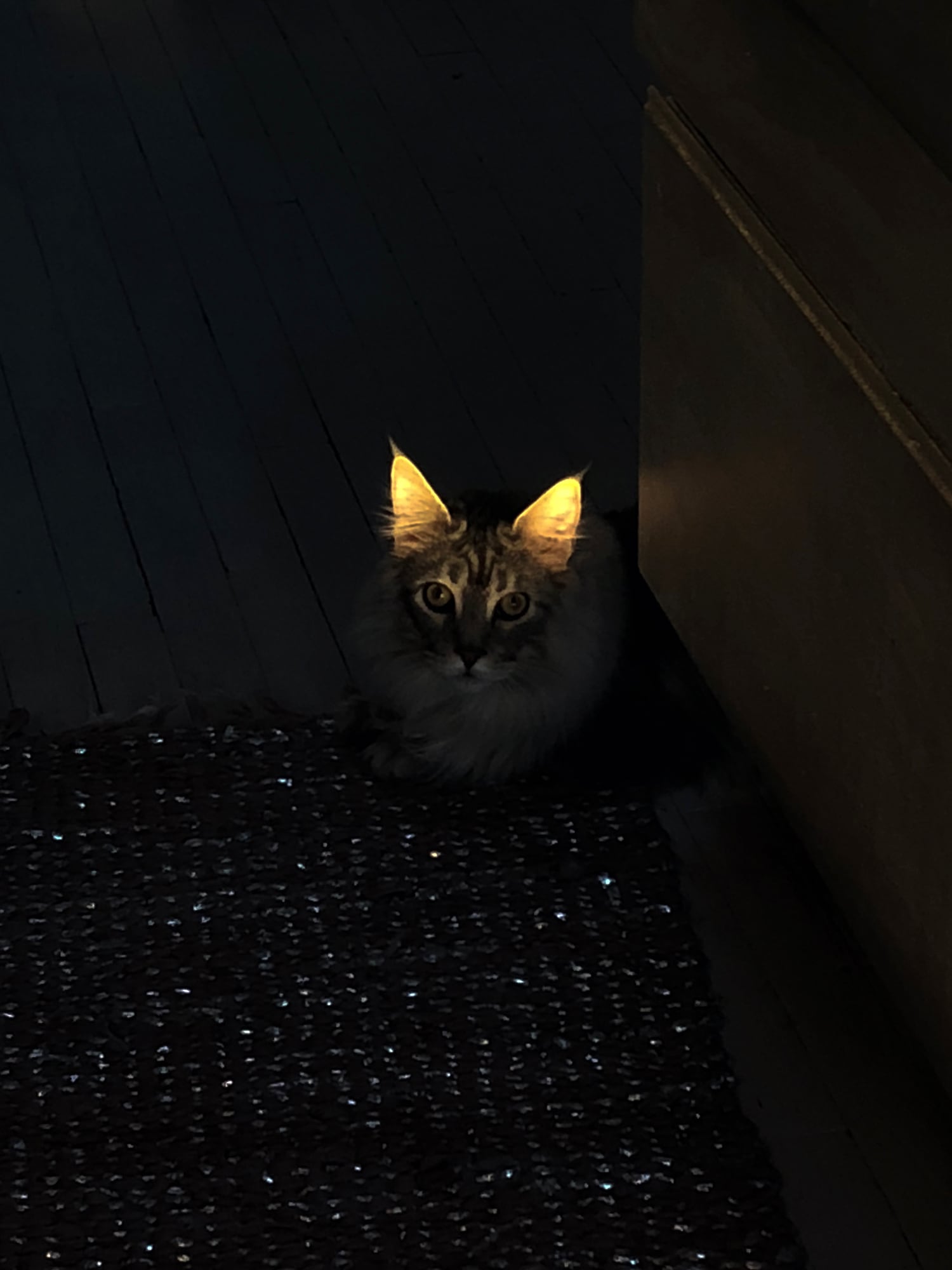 ภาพถ่าย