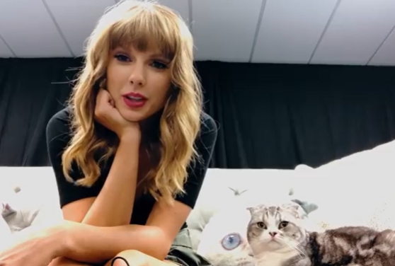 แมวเทย์เลอร์ สวิฟต์