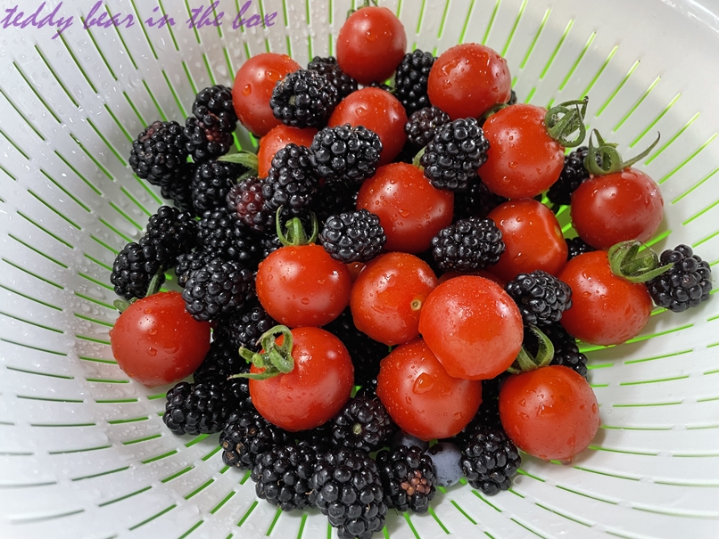 มะเขือเทศไส้บ๊วย