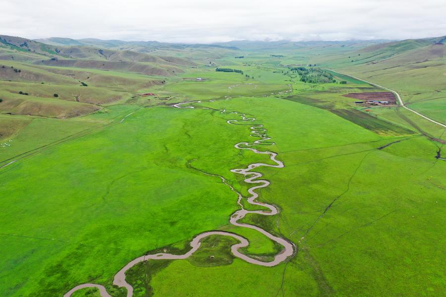 ทุ่งหญ้ามองโกเลีย