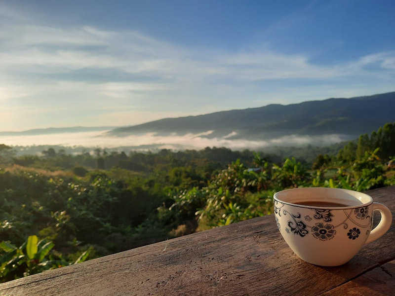 ที่พักหน้าหนาว