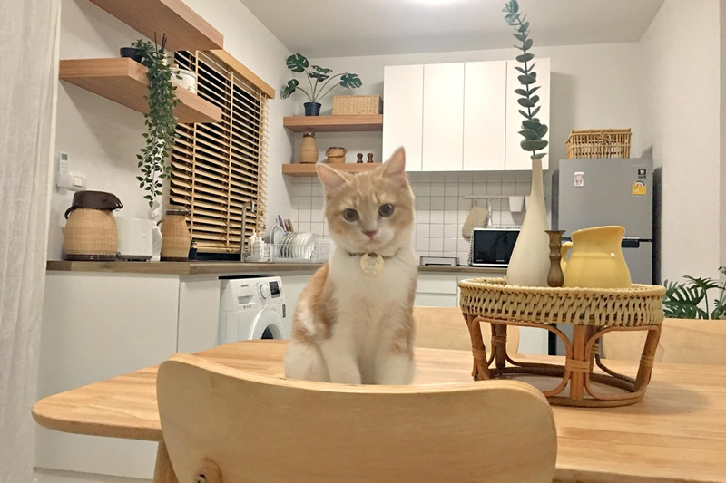 แบบห้องครัวสไตล์โฮมคาเฟ่