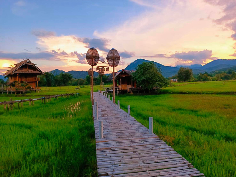 บ้านนอกฮอกควาย เมืองคอง