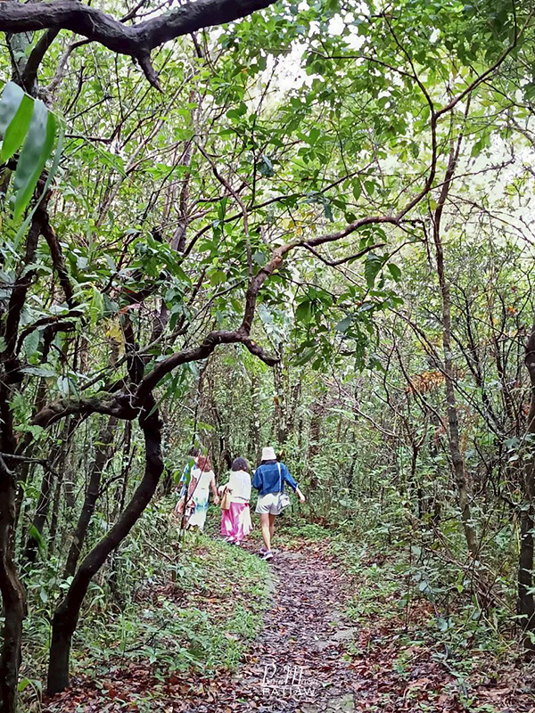 อุทยานแห่งชาติภูเรือ เลย