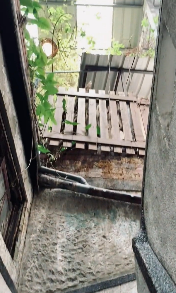 ซอกหลืบ