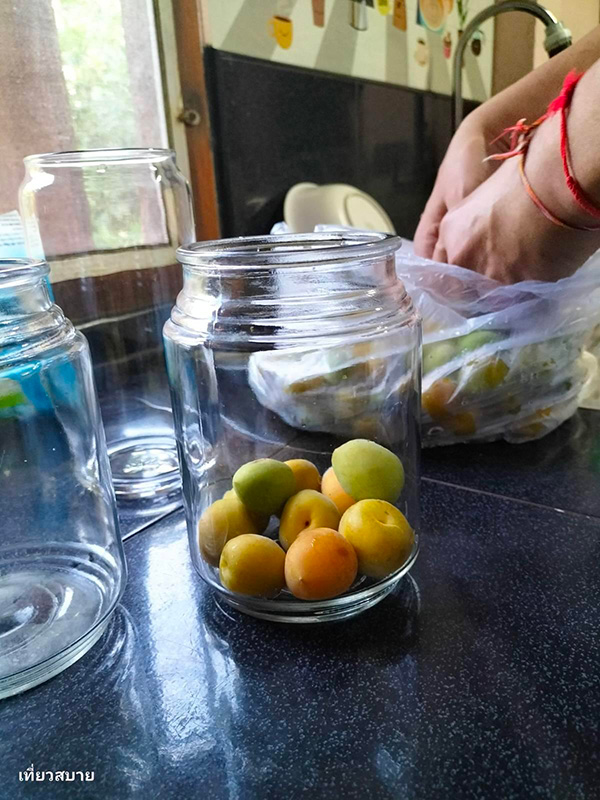 ไซรัปบ๊วย วิธีทำ Ume Syrup สูตรเครื่องดื่ม