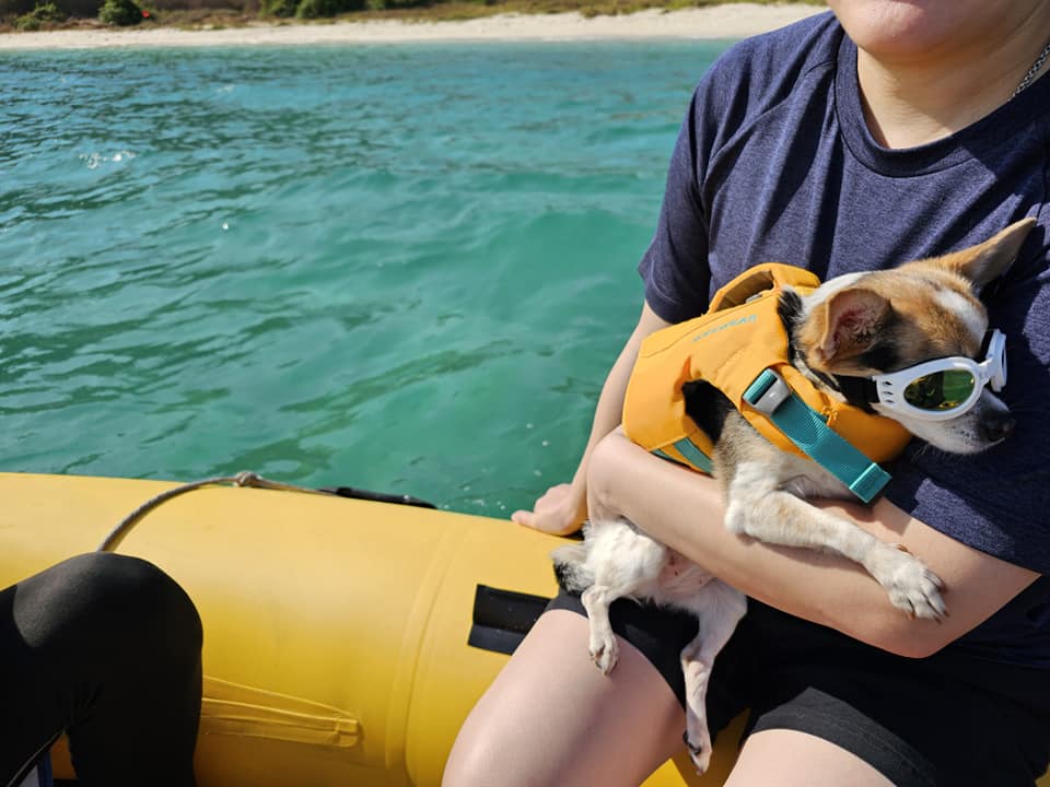 เรือ Le fong ar-kad