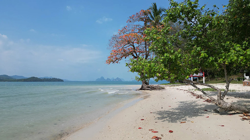 เกาะละวะใหญ่ พังงา