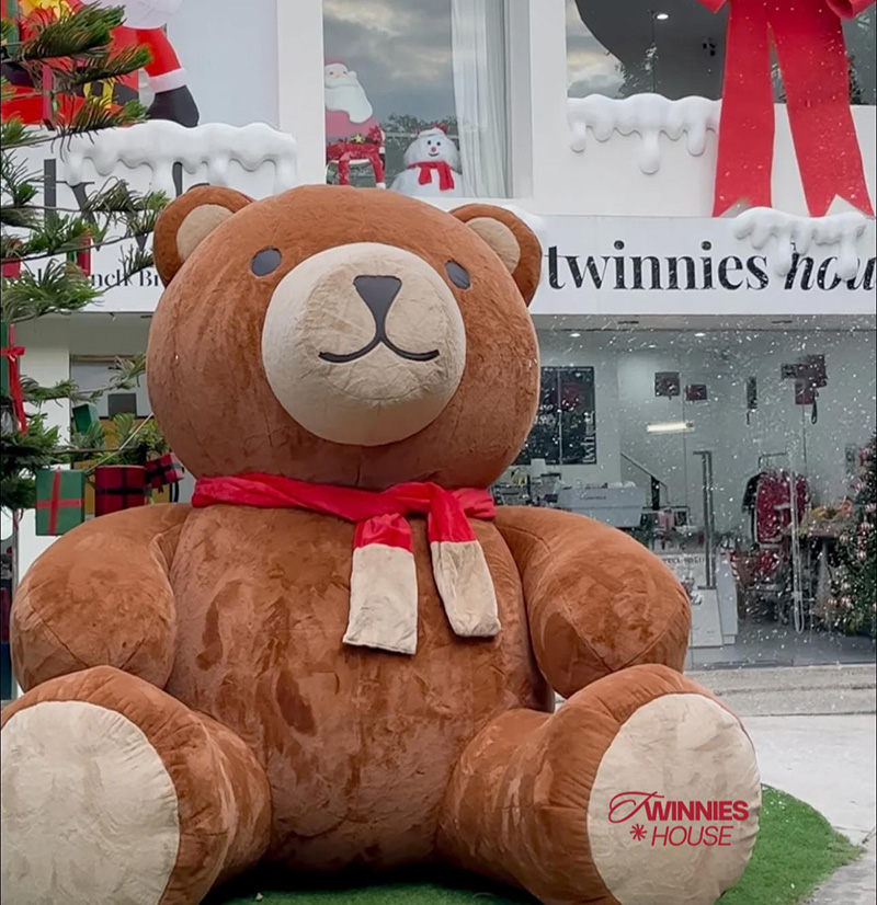 ร้านคาเฟ่หิมะ Twinnies house