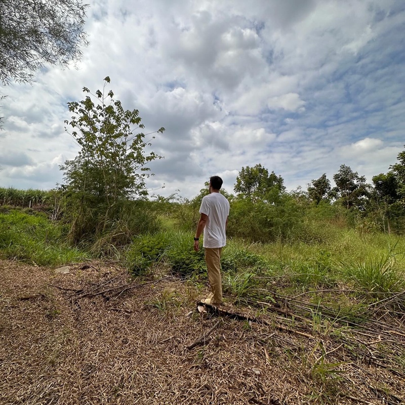 หญิง รฐา ประกาศขายที่ดิน