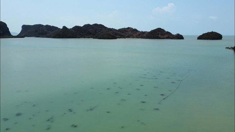 หินพับผ้า อ.ขนอม