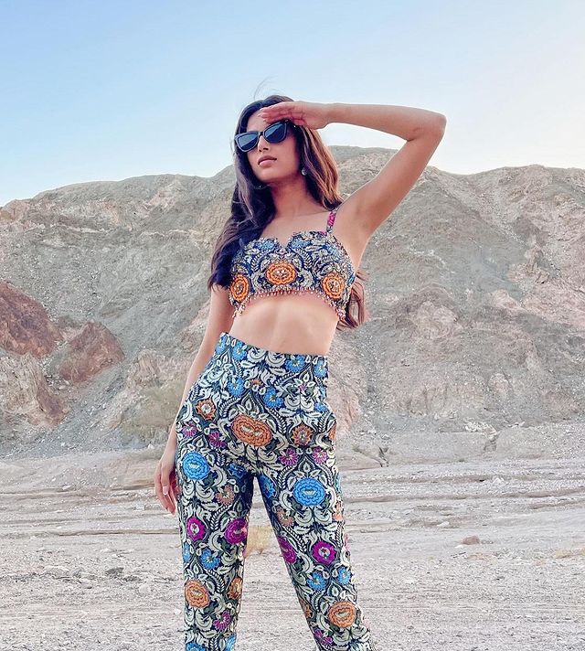 ฮาร์นาส ซานดู