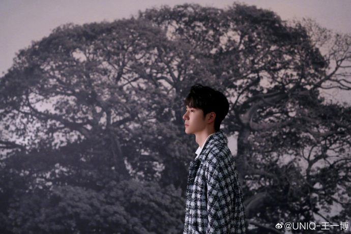 หวังอี้ป๋อ wang yibo