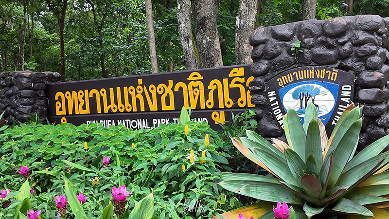 อุทยานแห่งชาติภูเรือ เลย