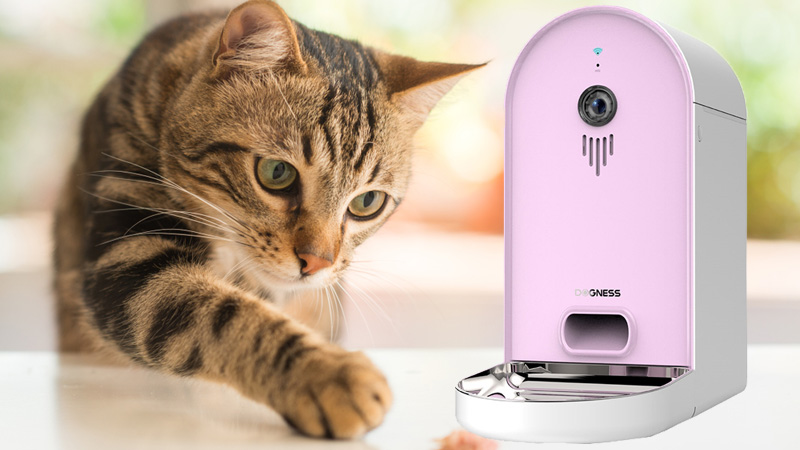 เครื่องให้อาหารแมวอัตโนมัติ