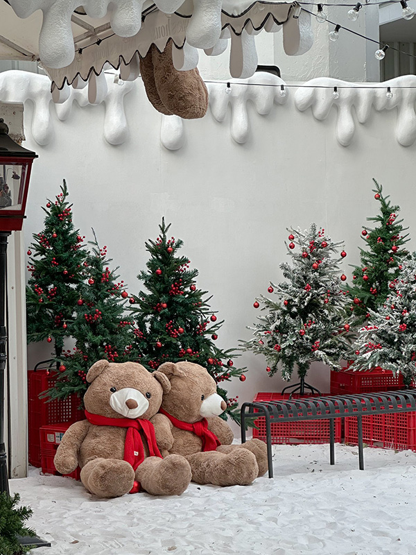 ร้านคาเฟ่หิมะ Twinnies house