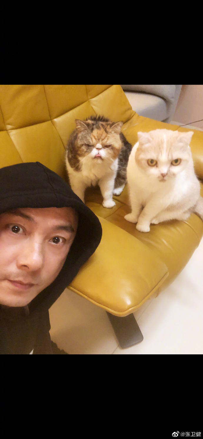 จางเหว่ยเจี้ยน