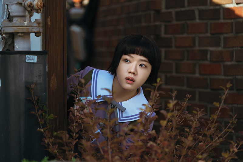 Absolute Value of Romance วุ่นนักรักสัมบูรณ์