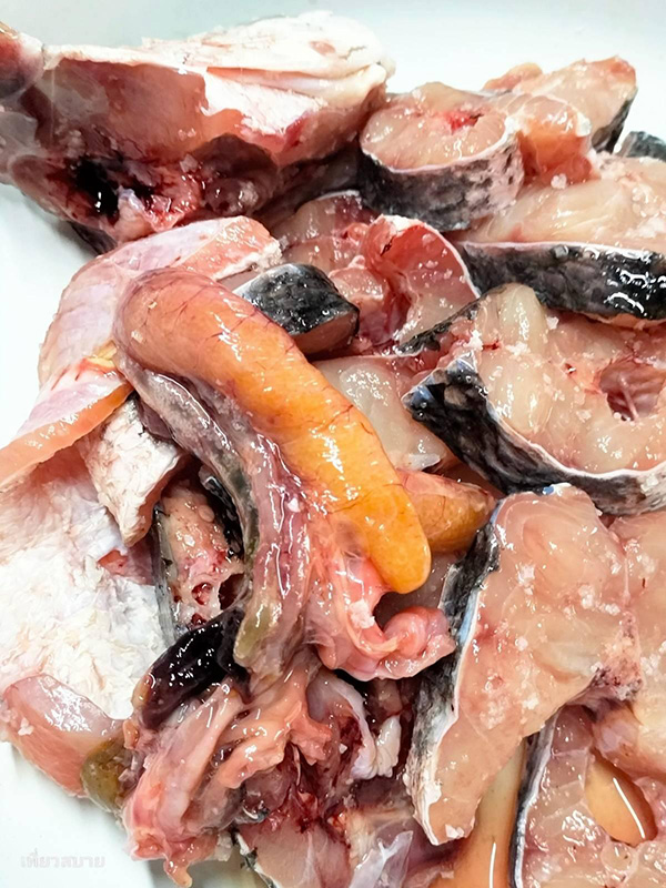 ปลาช่อนผัดขึ้นฉ่ายใส่ขิง เมนูปลาช่อน เมนูผัดขึ้นฉ่าย เมนูปลา สูตรอาหาร อาหารไทย