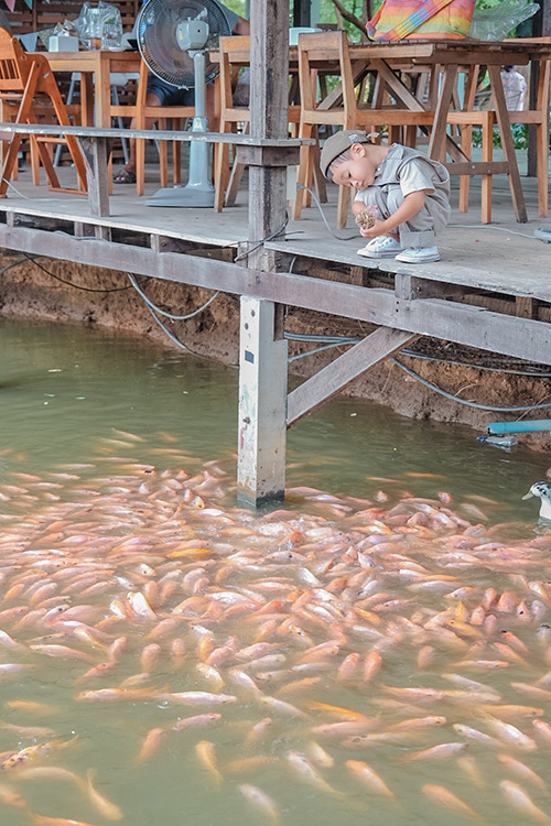 The Ugly Duckling Learning Farm