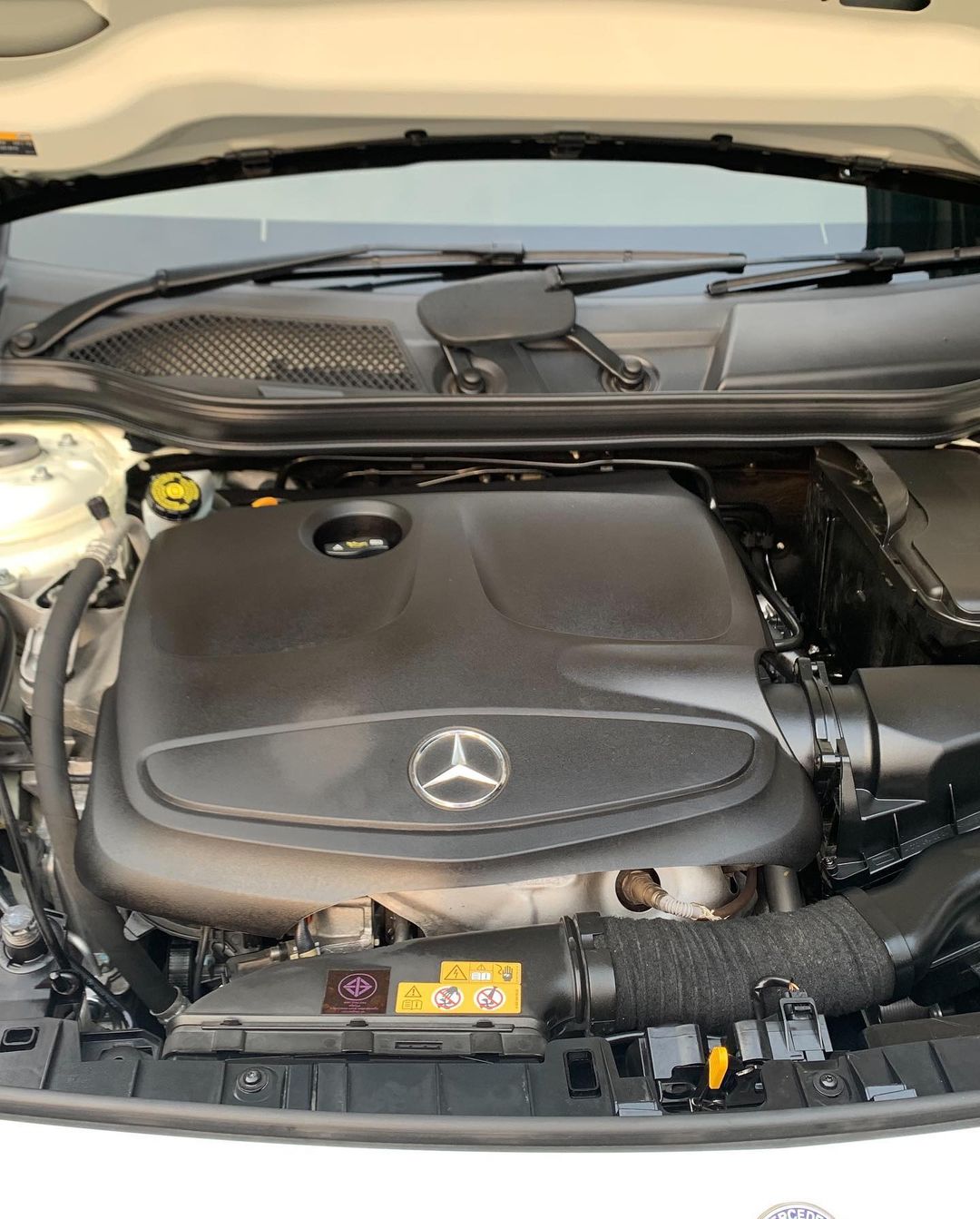  ใบเตย อาร์สยาม 