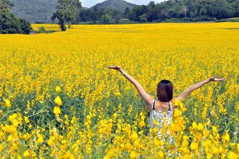 เทศกาลท่องเที่ยวเดือนตุลาคม