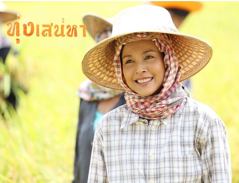 ทุ่งเสน่หา