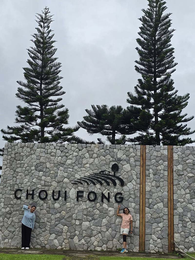 เที่ยวไร่ชาฉุยฟง