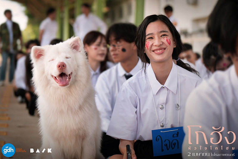 หนัง โกฮัง หัวใจโกโฮม หนังเกี่ยวกับสุนัข หนังใหม่ GDH 2569