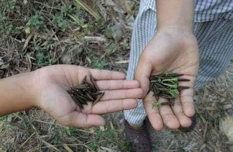 ความทรงจำในยุค 90