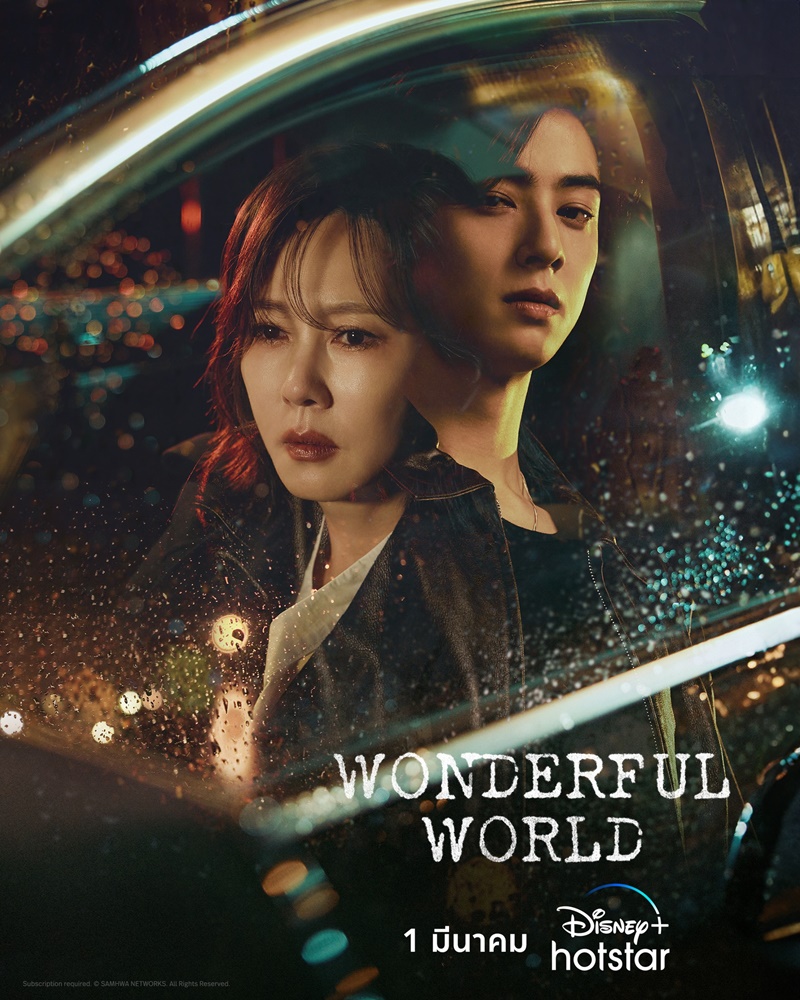 Wonderful World เรื่องย่อ ซีรีส์เกาหลี wonderful world ชาอึนอู