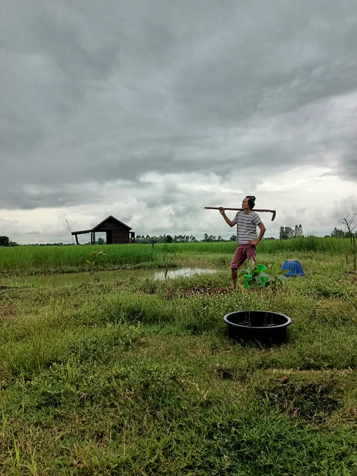 สร้างบ้านกลางทุ่งนา