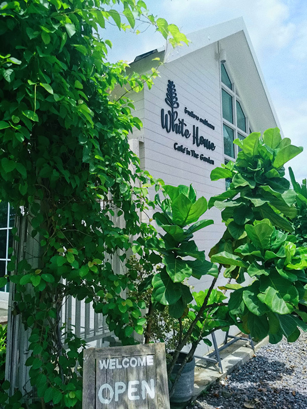 White House Cafe in the garden บรรยากาศร้าน
