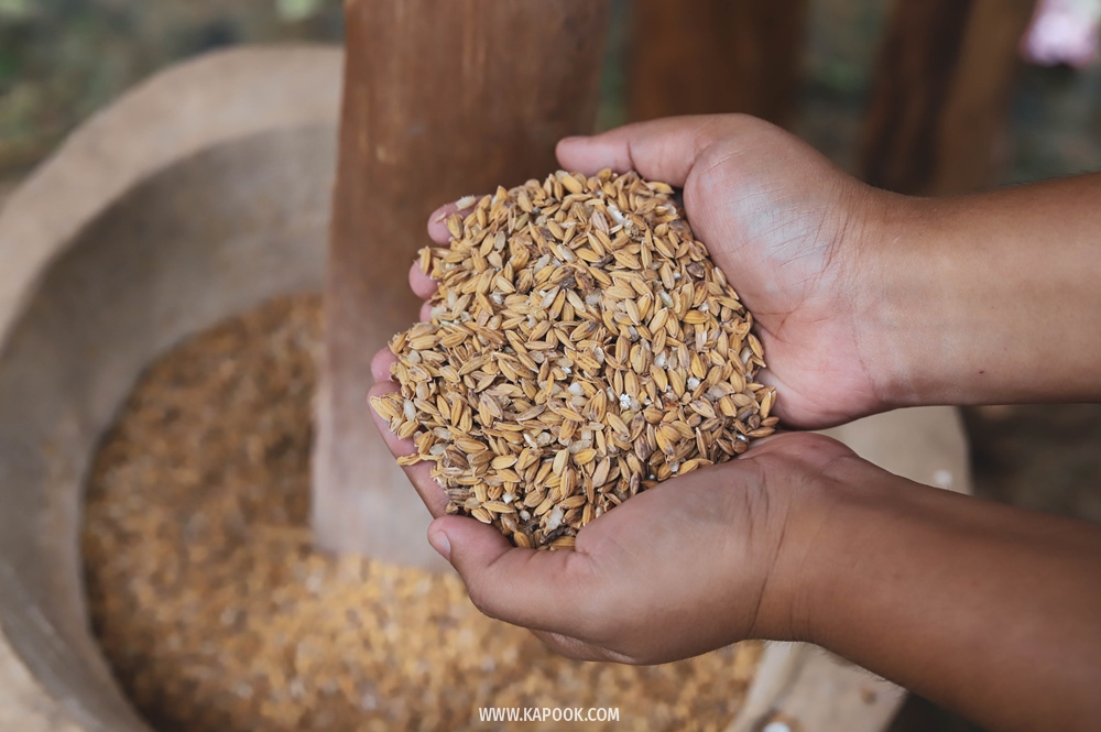 บ้านแม่กลางหลวง