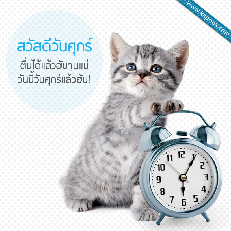 รูปสวัสดีวันศุกร์ ตื่นได้แล้วฮับจุนแม่ วันนี้วันศุกร์แล้วฮับ !