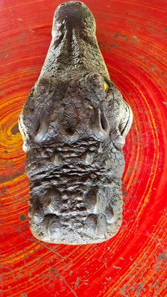 หัวจระเข้