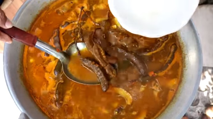 โชเล่ย์ ดอกกระโดน