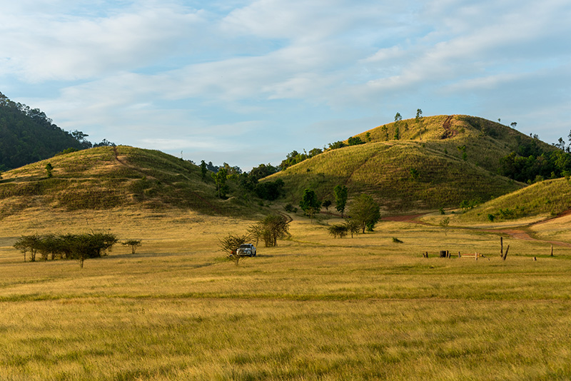 ที่เที่ยวหน้าหนาว 2568 ภูเขาหญ้า