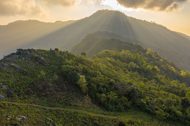 ดอยผาหม่น จ.เชียงราย